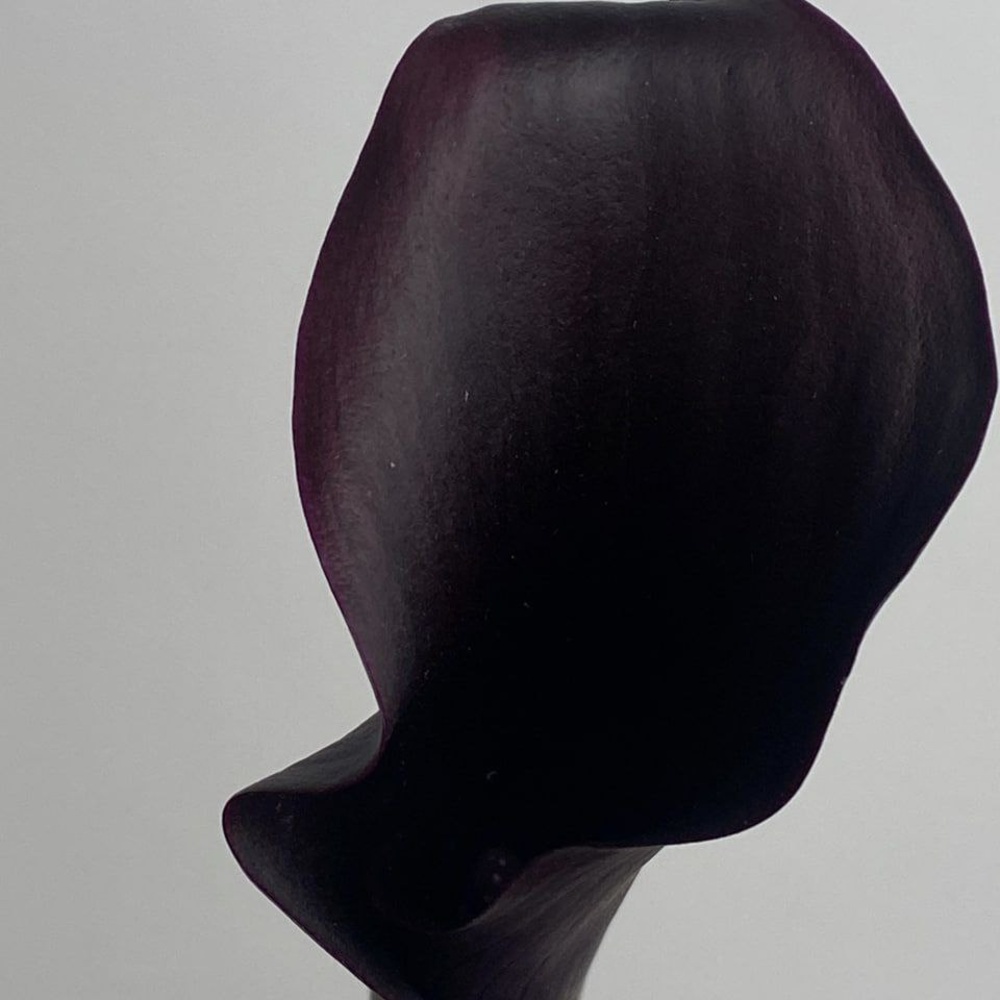 Свежих 25 каллы под ленту