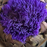 Доставка букетов по СПБ - Фотография 4