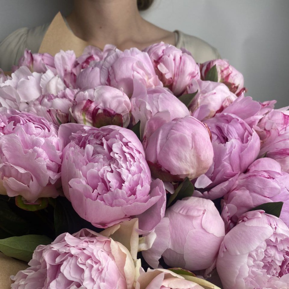 Свежий 51 розовый пион в крафте