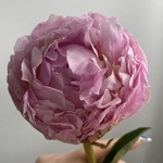 Доставка букетов по СПБ - Фотография 4