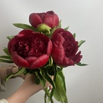 Доставка букетов по СПБ - Фотография 3