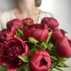 Букет «Свежих 9 бордовых пионов под ленту » Букет «Свежих 9 бордовых пионов под ленту »