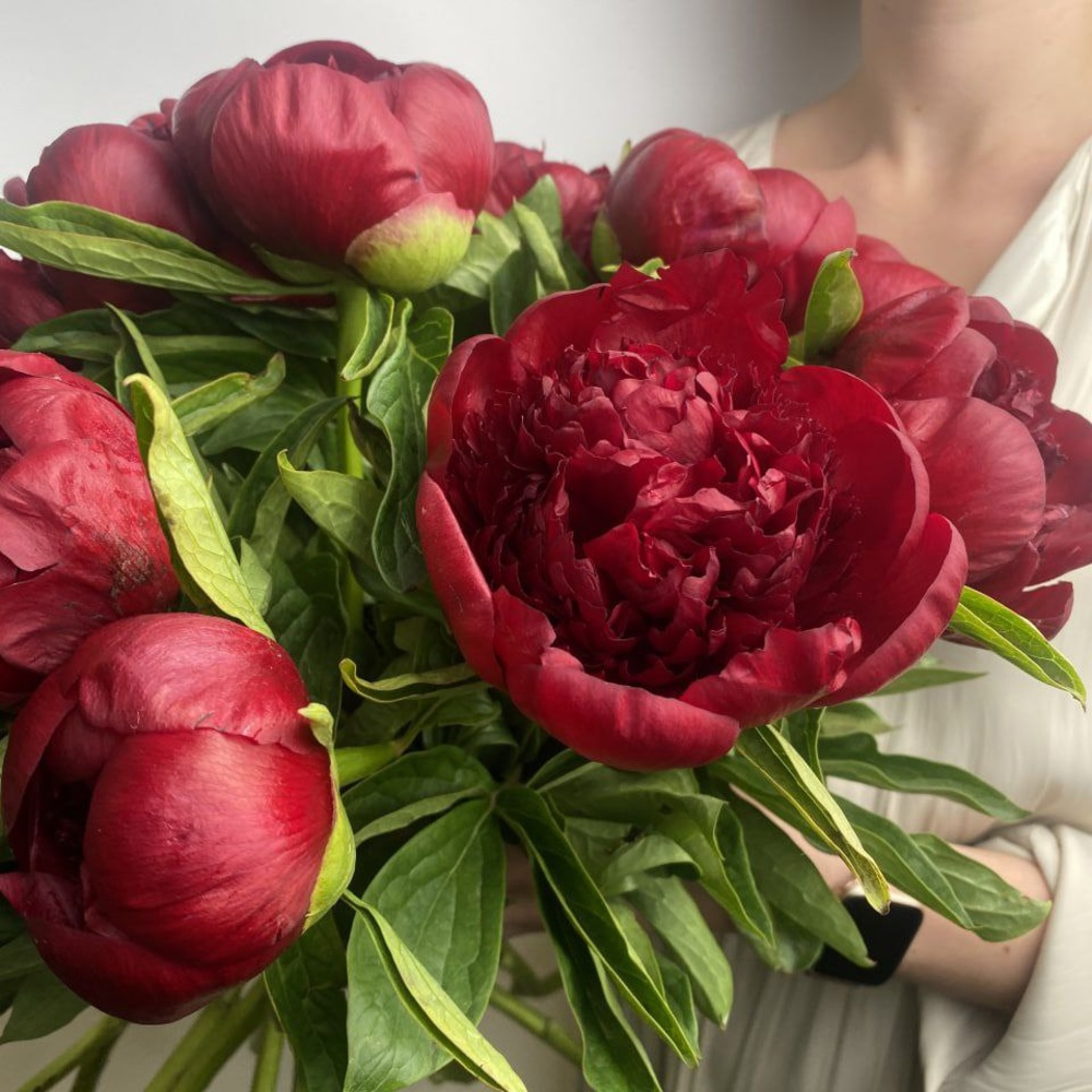 Доставка букетов по СПБ