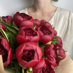 Букет «Свежих 19 бордовых пионов в крафте»