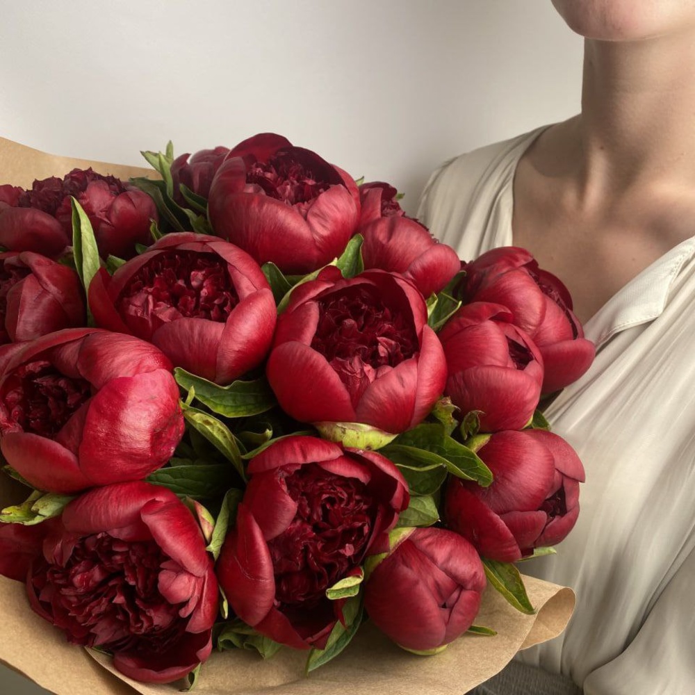 Свежих 19 бордовых пионов в крафте