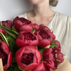 Букет «Свежих 17 бордовых пионов в крафте»