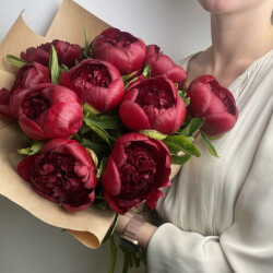Букет «Свежих 13 бордовых пионов в крафте» Букет «Свежих 13 бордовых пионов в крафте»