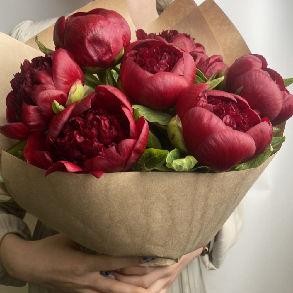 Свежих 9 бордовых пионов в крафте