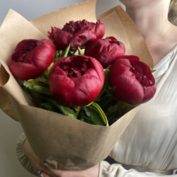 Букет «Свежих 5 бордовых пионов в крафте»