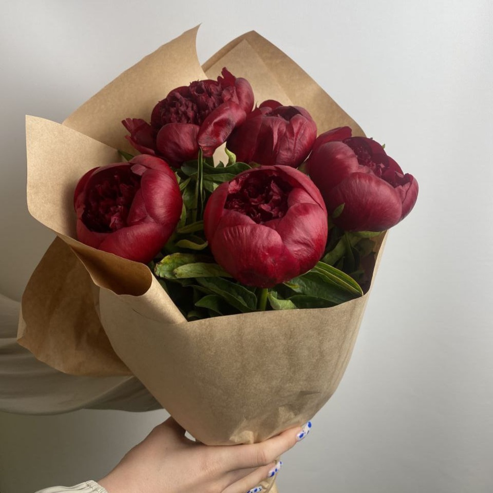 Свежих 5 бордовых пионов в крафте