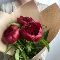 Букет «Свежих 3 бордовых пиона в крафте»
