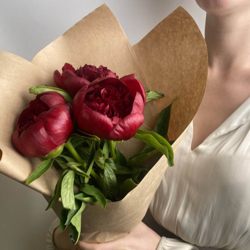 Свежих 3 бордовых пиона в крафте