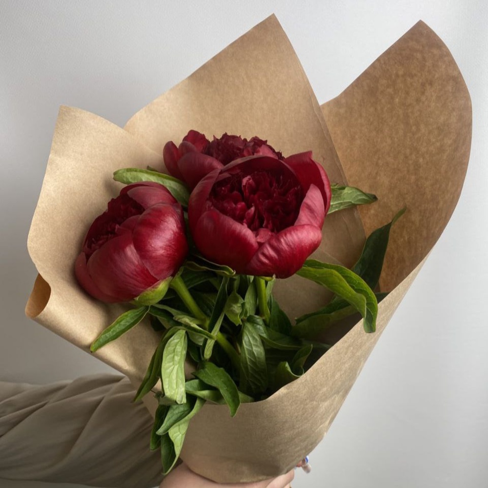 Свежих 3 бордовых пиона в крафте