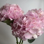 Доставка букетов по СПБ - Фотография 3