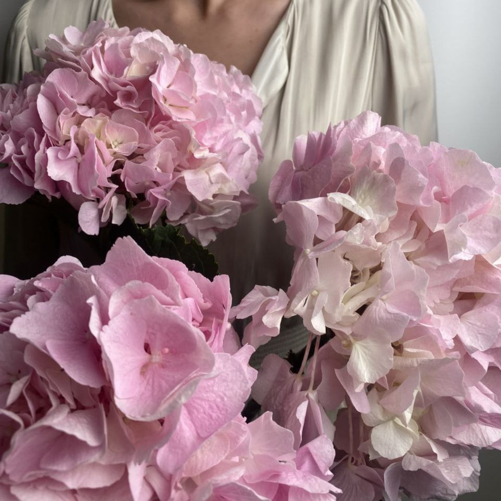 Свежих 3 розовых гортензий под ленту