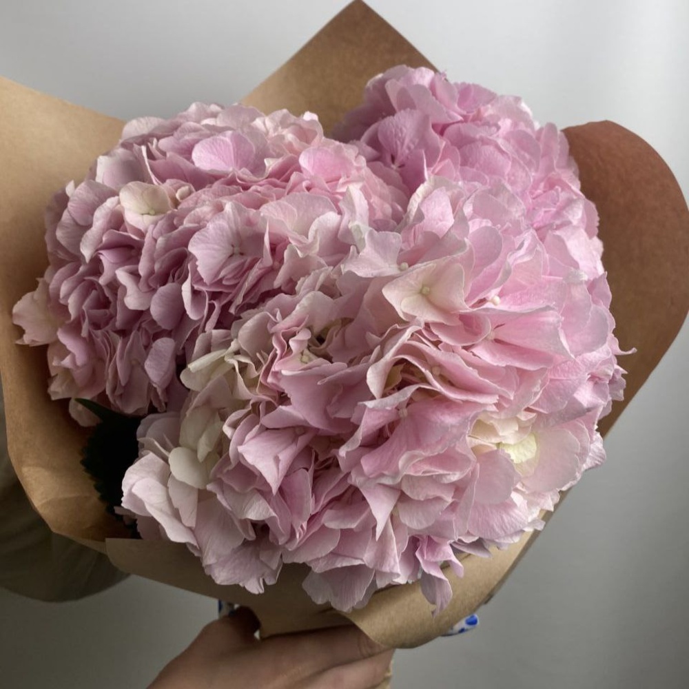 Свежих 3 розовых гортензий в крафт 