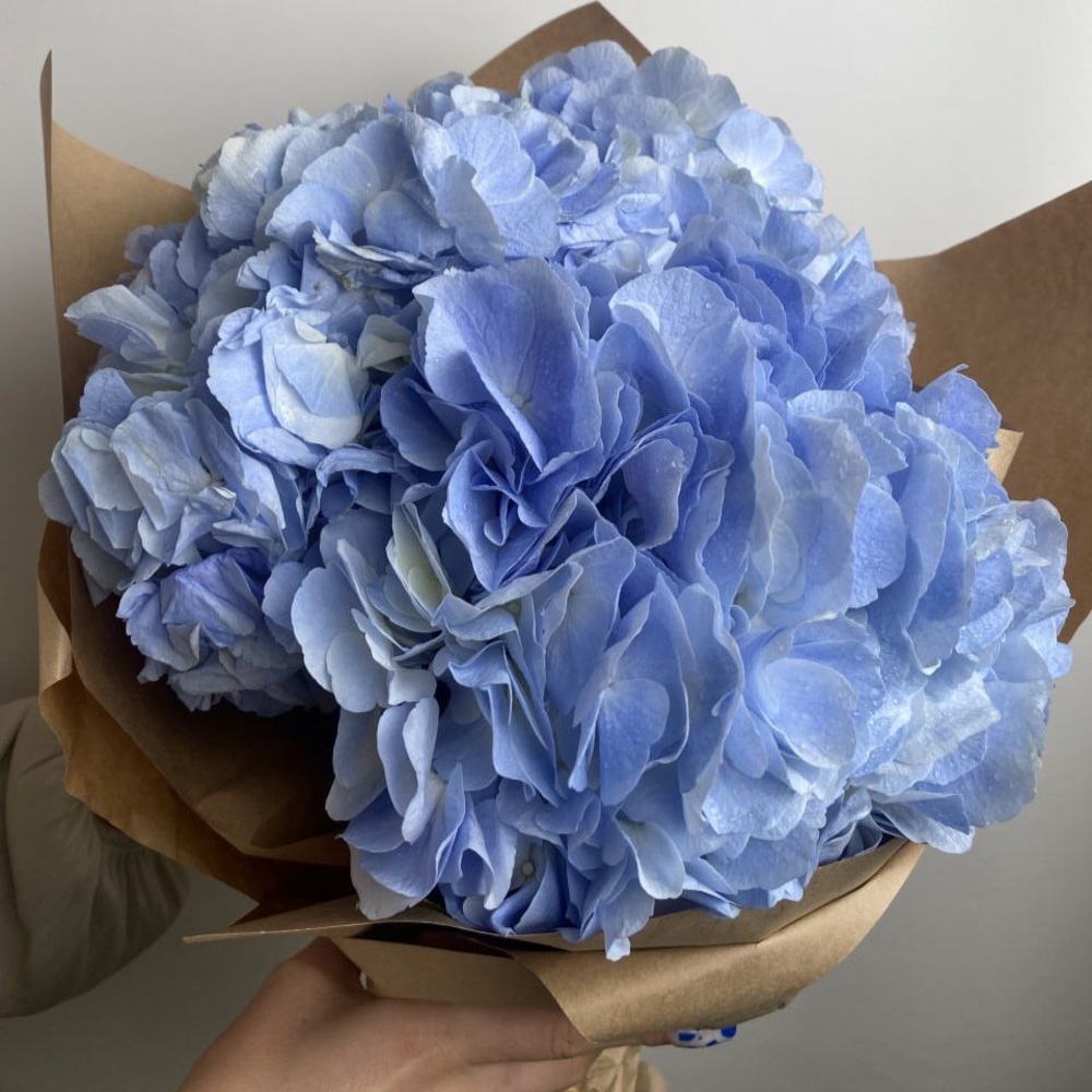 Свежих 3 голубых гортензий в крафт 