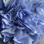 Доставка букетов по СПБ - Фотография 5