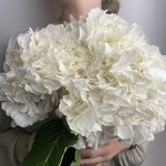 Доставка букетов по СПБ - Фотография 2