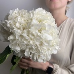 Доставка букетов по СПБ - Фотография 1