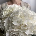 Доставка букетов по СПБ - Фотография 2