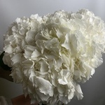 Доставка букетов по СПБ - Фотография 3