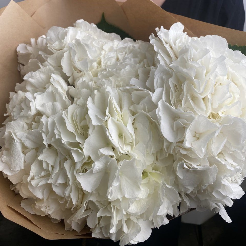 Доставка букетов по СПБ