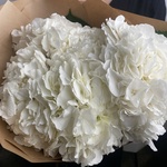 Доставка букетов по СПБ - Фотография 1