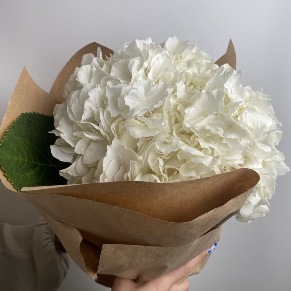 Свежих 3 белых гортензий в крафт