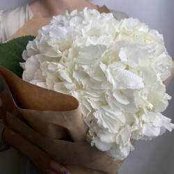 Букет «Свежих 3 белых гортензий в крафт»