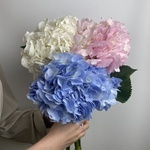 Доставка букетов по СПБ - Фотография 3