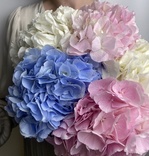 Доставка букетов по СПБ - Фотография 1