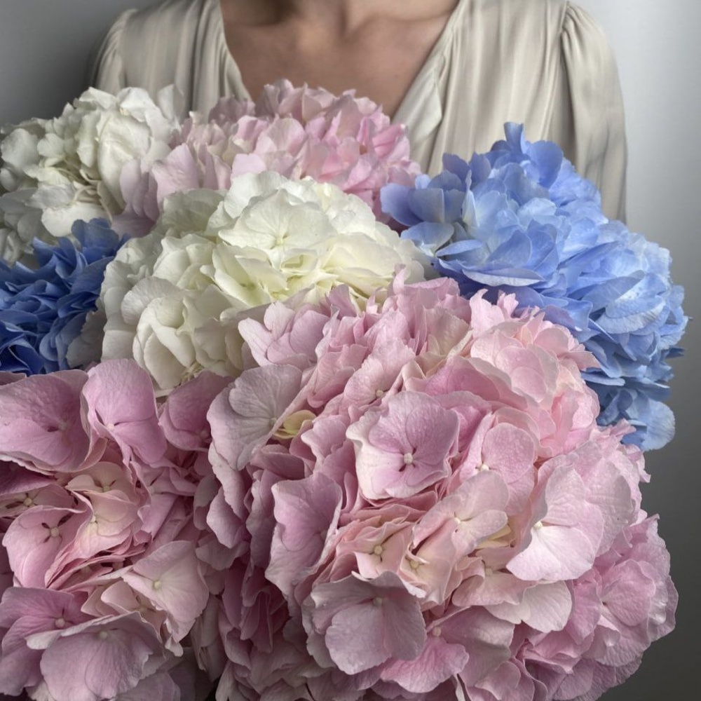 Микс свежих 7 гортензий под ленту