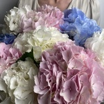 Доставка букетов по СПБ - Фотография 2 Доставка букетов по СПБ - Фотография 2