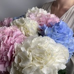 Доставка букетов по СПБ - Фотография 1 Доставка букетов по СПБ - Фотография 1