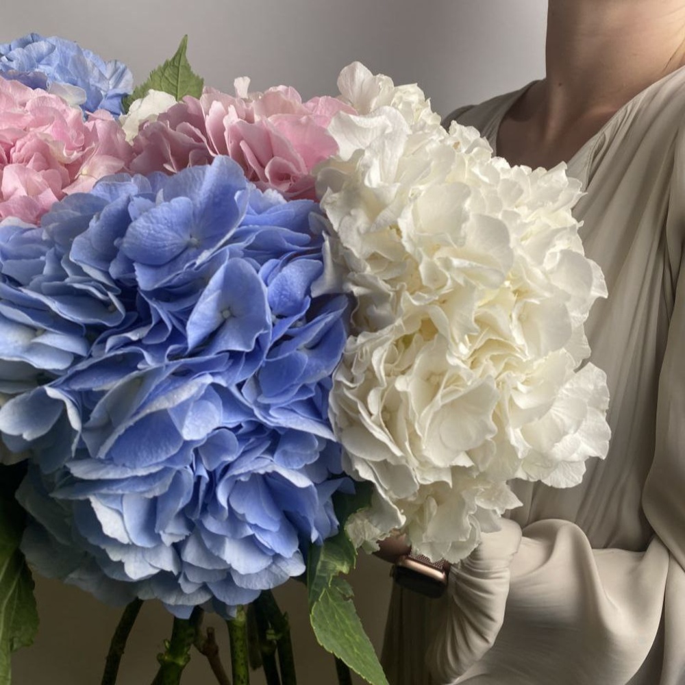 Доставка букетов по СПБ Доставка букетов по СПБ