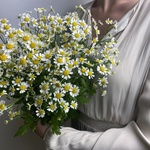 Доставка букетов по СПБ - Фотография 1