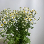 Доставка букетов по СПБ - Фотография 3