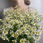 Доставка букетов по СПБ - Фотография 2