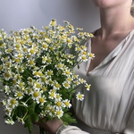 Доставка букетов по СПБ - Фотография 1