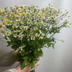 Доставка букетов по СПБ - Фотография 3