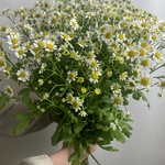 Доставка букетов по СПБ - Фотография 3