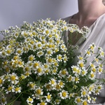 Доставка букетов по СПБ - Фотография 1