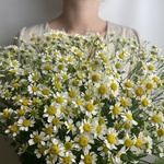 Доставка цветов по СПБ - Фотография 2