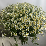 Доставка цветов по СПБ - Фотография 3