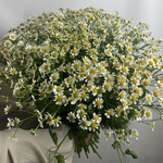 Доставка цветов по СПБ - Фотография 3