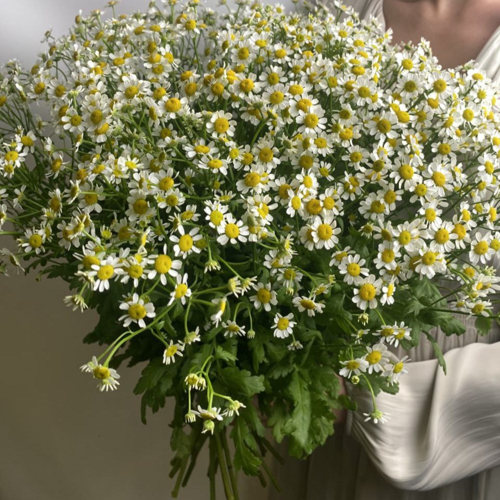 Доставка цветов по СПБ