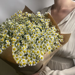 Букет «Свежая 31 кустовая ромашка в крафте» Букет «Свежая 31 кустовая ромашка в крафте»