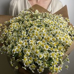 Доставка цветов по СПБ - Фотография 2