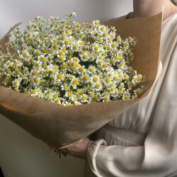 Букет «Свежих 19 кустовых ромашек в крафте» Букет «Свежих 19 кустовых ромашек в крафте»
